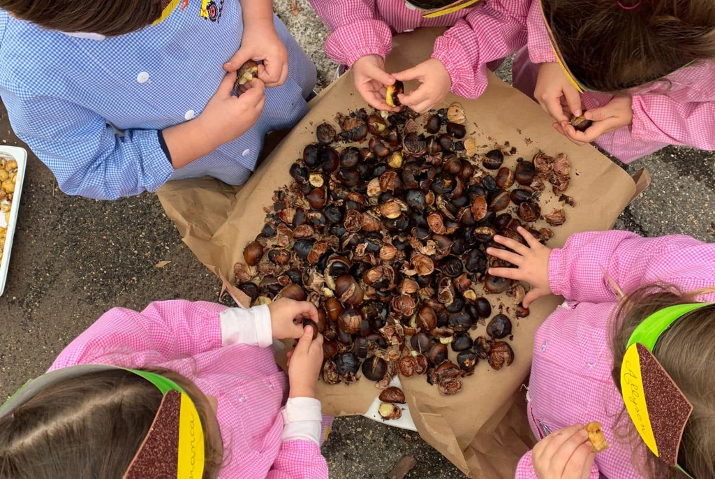 Festa delle Castagne